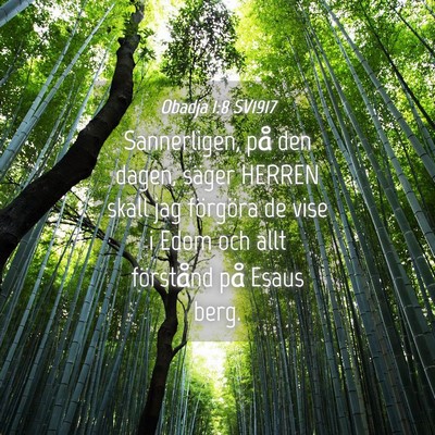 Picture 04 - Obadja 1:8 SV1917 - Sannerligen, på den dagen, säger HERREN skall - Bible Verse Picture