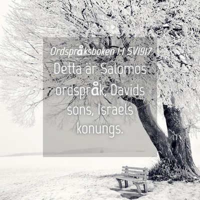 Picture 04 - Ordspråksboken 1:1 SV1917 - Detta är Salomos ordspråk, Davids sons, Israels - Bible Verse Picture