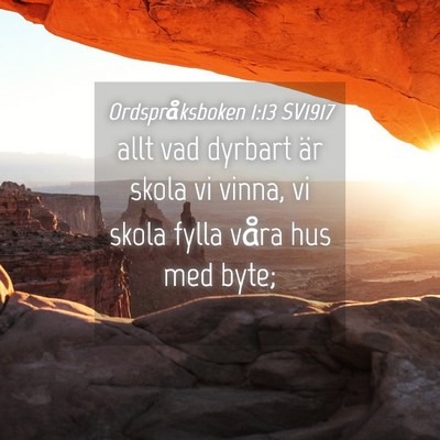 Picture 04 - Ordspråksboken 1:13 SV1917 - allt vad dyrbart är skola vi vinna, vi skola - Bible Verse Picture