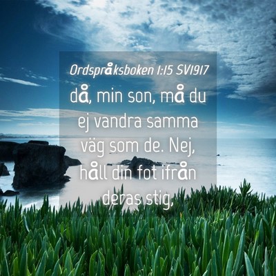 Picture 04 - Ordspråksboken 1:15 SV1917 - då, min son, må du ej vandra samma väg som de. - Bible Verse Picture