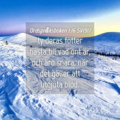 Picture 04 - Ordspråksboken 1:16 SV1917 - ty deras fötter hasta till vad ont är, och äro - Bible Verse Picture