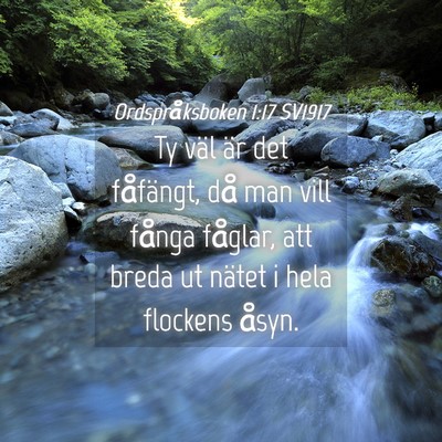 Picture 04 - Ordspråksboken 1:17 SV1917 - Ty väl är det fåfängt, då man vill fånga - Bible Verse Picture