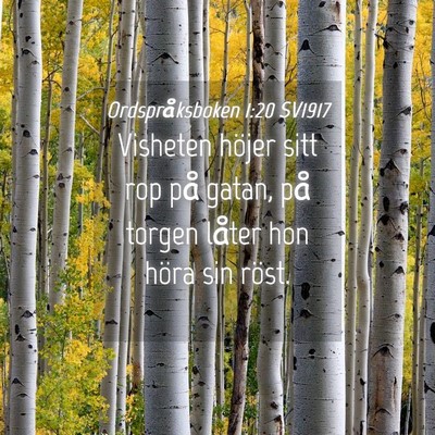 Picture 04 - Ordspråksboken 1:20 SV1917 - Visheten höjer sitt rop på gatan, på torgen - Bible Verse Picture