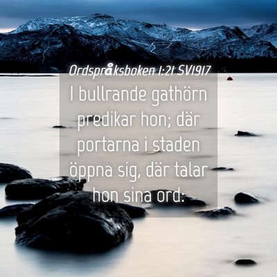 Picture 04 - Ordspråksboken 1:21 SV1917 - I bullrande gathörn predikar hon; där portarna - Bible Verse Picture