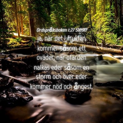 Picture 04 - Ordspråksboken 1:27 SV1917 - ja, när det I frukten kommer såsom ett oväder, - Bible Verse Picture