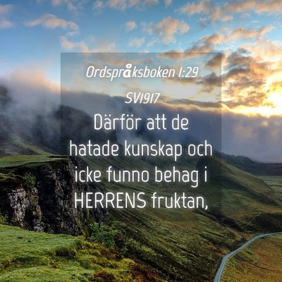 Picture 04 - Ordspråksboken 1:29 SV1917 - Därför att de hatade kunskap och icke funno - Bible Verse Picture