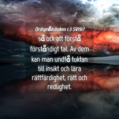 Picture 04 - Ordspråksboken 1:3 SV1917 - så ock att förstå förståndigt tal. Av dem - Bible Verse Picture