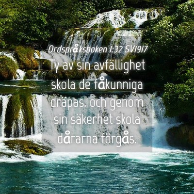 Picture 04 - Ordspråksboken 1:32 SV1917 - Ty av sin avfällighet skola de fåkunniga - Bible Verse Picture