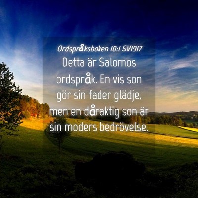 Picture 04 - Ordspråksboken 10:1 SV1917 - Detta är Salomos ordspråk. En vis son gör sin - Bible Verse Picture