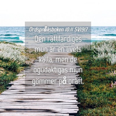 Picture 04 - Ordspråksboken 10:11 SV1917 - Den rättfärdiges mun är en livets källa, men - Bible Verse Picture