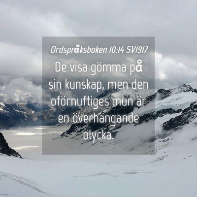 Picture 04 - Ordspråksboken 10:14 SV1917 - De visa gömma på sin kunskap, men den - Bible Verse Picture