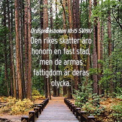 Picture 04 - Ordspråksboken 10:15 SV1917 - Den rikes skatter äro honom en fast stad, men de - Bible Verse Picture
