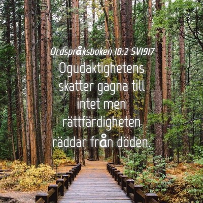 Picture 04 - Ordspråksboken 10:2 SV1917 - Ogudaktighetens skatter gagna till intet men - Bible Verse Picture