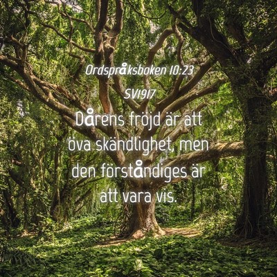 Picture 04 - Ordspråksboken 10:23 SV1917 - Dårens fröjd är att öva skändlighet, men den - Bible Verse Picture