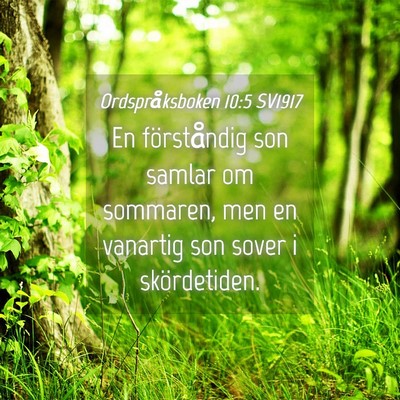 Picture 04 - Ordspråksboken 10:5 SV1917 - En förståndig son samlar om sommaren, men en - Bible Verse Picture