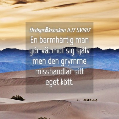 Picture 04 - Ordspråksboken 11:17 SV1917 - En barmhärtig man gör väl mot sig själv men - Bible Verse Picture