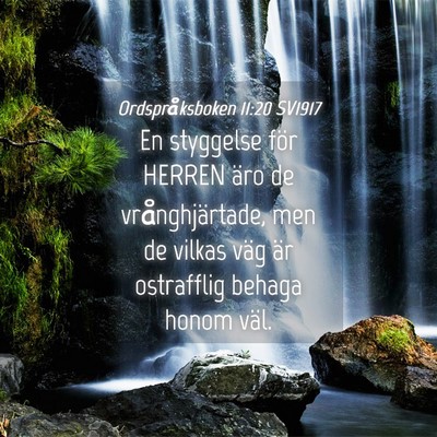 Picture 04 - Ordspråksboken 11:20 SV1917 - En styggelse för HERREN äro de vrånghjärtade, - Bible Verse Picture