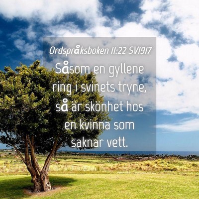 Picture 04 - Ordspråksboken 11:22 SV1917 - Såsom en gyllene ring i svinets tryne, så är - Bible Verse Picture