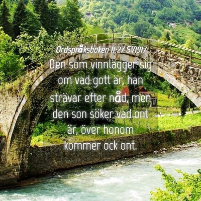 Picture 04 - Ordspråksboken 11:27 SV1917 - Den som vinnlägger sig om vad gott är, han - Bible Verse Picture