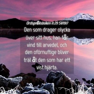 Picture 04 - Ordspråksboken 11:29 SV1917 - Den som drager olycka över sitt hus, han får - Bible Verse Picture