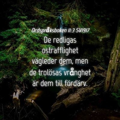 Picture 04 - Ordspråksboken 11:3 SV1917 - De redligas ostrafflighet vägleder dem, men de - Bible Verse Picture
