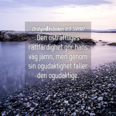Picture 04 - Ordspråksboken 11:5 SV1917 - Den ostraffliges rättfärdighet gör hans väg - Bible Verse Picture