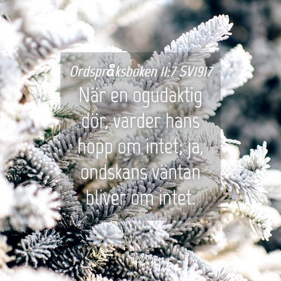 Picture 04 - Ordspråksboken 11:7 SV1917 - När en ogudaktig dör, varder hans hopp om - Bible Verse Picture
