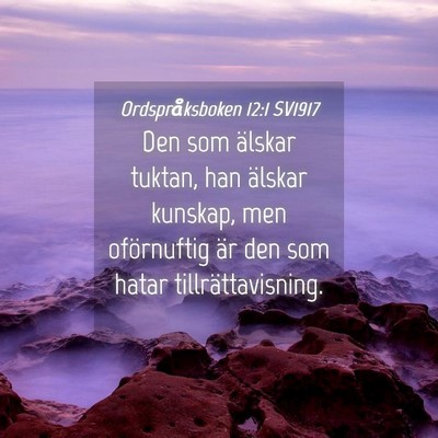 Picture 04 - Ordspråksboken 12:1 SV1917 - Den som älskar tuktan, han älskar kunskap, men - Bible Verse Picture