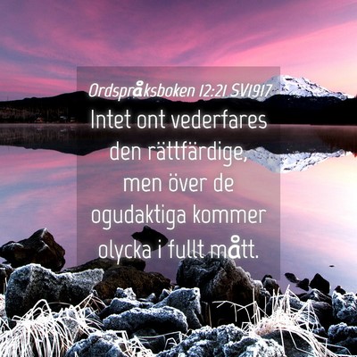 Picture 04 - Ordspråksboken 12:21 SV1917 - Intet ont vederfares den rättfärdige, men över - Bible Verse Picture