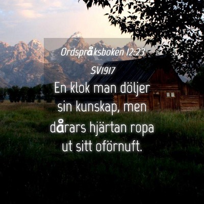 Picture 04 - Ordspråksboken 12:23 SV1917 - En klok man döljer sin kunskap, men dårars - Bible Verse Picture