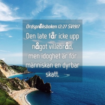 Picture 04 - Ordspråksboken 12:27 SV1917 - Den late får icke upp något villebråd, men - Bible Verse Picture