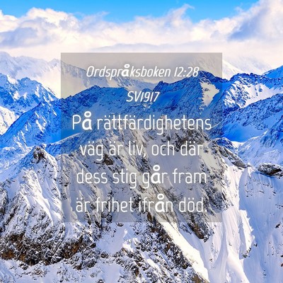 Picture 04 - Ordspråksboken 12:28 SV1917 - På rättfärdighetens väg är liv, och där - Bible Verse Picture