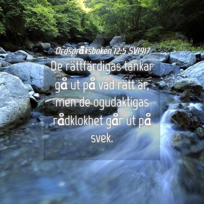 Picture 04 - Ordspråksboken 12:5 SV1917 - De rättfärdigas tankar gå ut på vad rätt - Bible Verse Picture