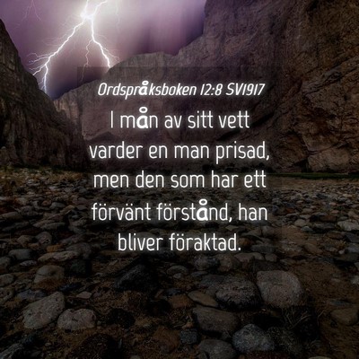 Picture 04 - Ordspråksboken 12:8 SV1917 - I mån av sitt vett varder en man prisad, men den - Bible Verse Picture