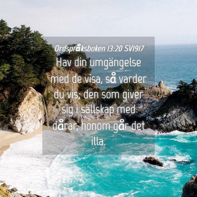 Picture 04 - Ordspråksboken 13:20 SV1917 - Hav din umgängelse med de visa, så varder du - Bible Verse Picture