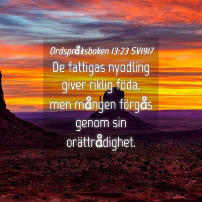 Picture 04 - Ordspråksboken 13:23 SV1917 - De fattigas nyodling giver riklig föda, men - Bible Verse Picture