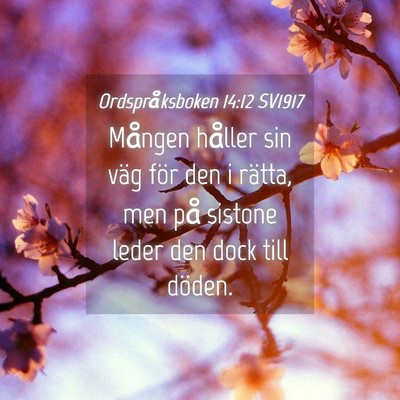 Picture 04 - Ordspråksboken 14:12 SV1917 - Mången håller sin väg för den i rätta, men - Bible Verse Picture