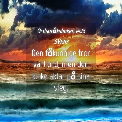 Picture 04 - Ordspråksboken 14:15 SV1917 - Den fåkunnige tror vart ord, men den kloke aktar - Bible Verse Picture