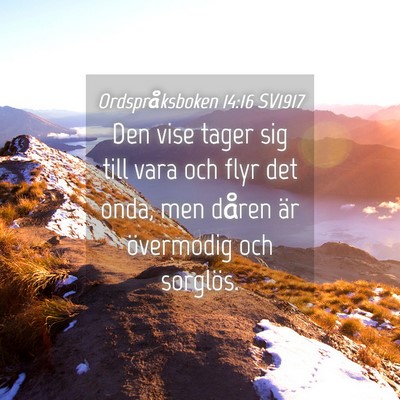 Picture 04 - Ordspråksboken 14:16 SV1917 - Den vise tager sig till vara och flyr det onda, - Bible Verse Picture