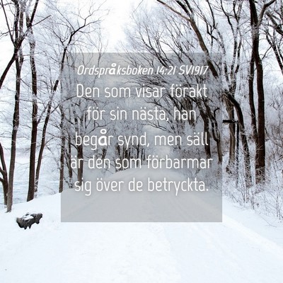 Picture 04 - Ordspråksboken 14:21 SV1917 - Den som visar förakt för sin nästa, han begår - Bible Verse Picture