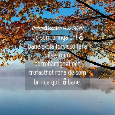 Picture 04 - Ordspråksboken 14:22 SV1917 - De som bringa ont å bane skola förvisso fara - Bible Verse Picture