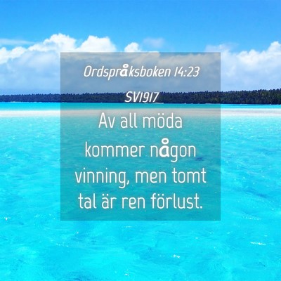 Picture 04 - Ordspråksboken 14:23 SV1917 - Av all möda kommer någon vinning, men tomt tal - Bible Verse Picture