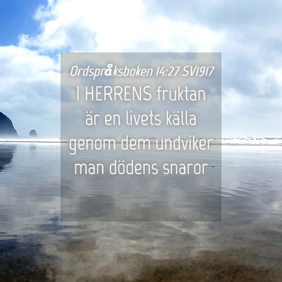Picture 04 - Ordspråksboken 14:27 SV1917 - I HERRENS fruktan är en livets källa genom dem - Bible Verse Picture