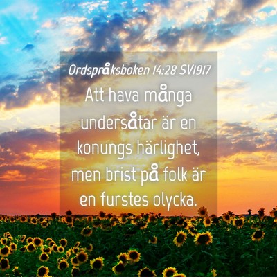 Picture 04 - Ordspråksboken 14:28 SV1917 - Att hava många undersåtar är en konungs - Bible Verse Picture