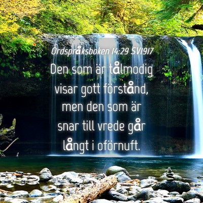 Picture 04 - Ordspråksboken 14:29 SV1917 - Den som är tålmodig visar gott förstånd, men - Bible Verse Picture