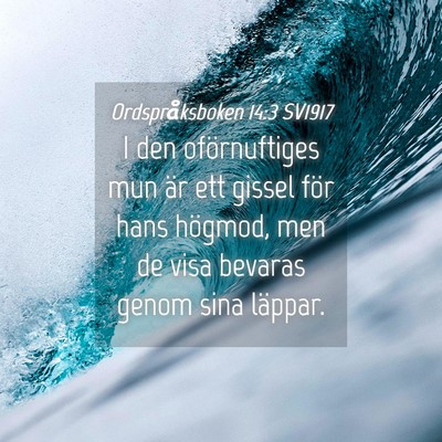 Picture 04 - Ordspråksboken 14:3 SV1917 - I den oförnuftiges mun är ett gissel för hans - Bible Verse Picture