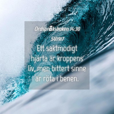 Picture 04 - Ordspråksboken 14:30 SV1917 - Ett saktmodigt hjärta är kroppens liv, men - Bible Verse Picture