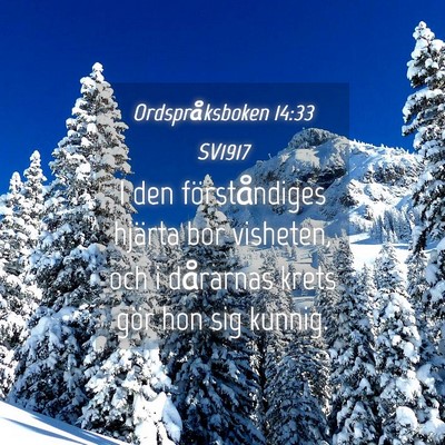 Picture 04 - Ordspråksboken 14:33 SV1917 - I den förståndiges hjärta bor visheten, och i - Bible Verse Picture