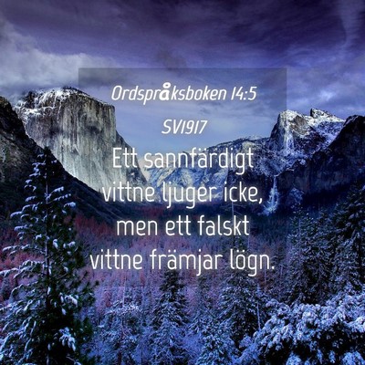 Picture 04 - Ordspråksboken 14:5 SV1917 - Ett sannfärdigt vittne ljuger icke, men ett - Bible Verse Picture