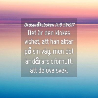 Picture 04 - Ordspråksboken 14:8 SV1917 - Det är den klokes vishet, att han aktar på sin - Bible Verse Picture